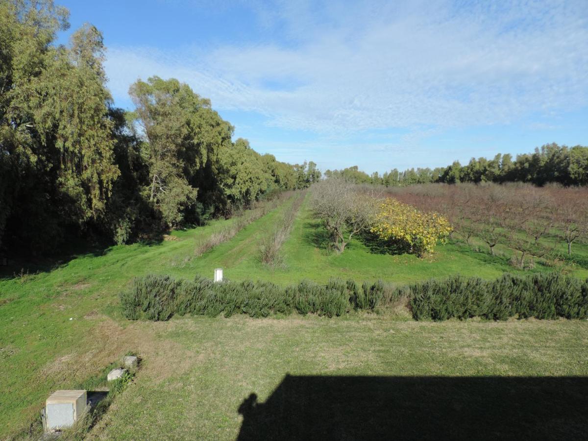 Agriturismo I Doni Del Mandorlo Alghero Exterior photo